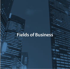 Business field